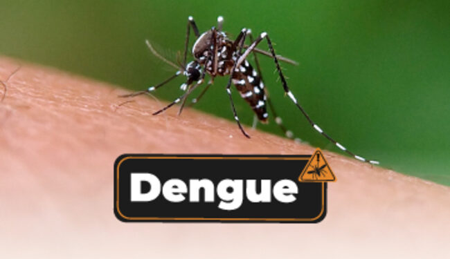 Sonora en los últimos lugares a nivel nacional en casos confirmados de dengue