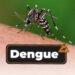 Sonora en los últimos lugares a nivel nacional en casos confirmados de dengue