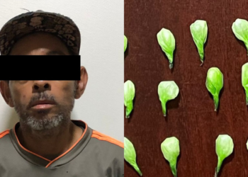 Asegura Gobierno del Estado a persona en posesión de posible narcótico en Benjamín Hill