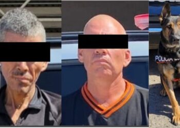 Incauta Gobierno de Sonora narcótico en operativos de la SSP en HMO