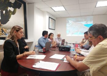 Trabaja Ayuntamiento de Guaymas en la prevención de Dengue.
