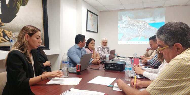 Trabaja Ayuntamiento de Guaymas en la prevención de Dengue.