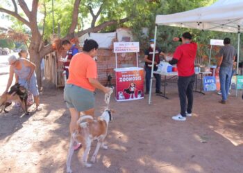 Con éxito dio inicio en Cajeme la jornada de Salud Canina y Felina