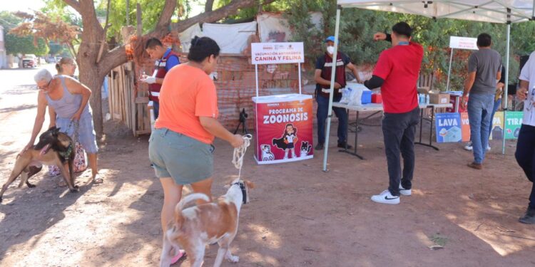 Con éxito dio inicio en Cajeme la jornada de Salud Canina y Felina