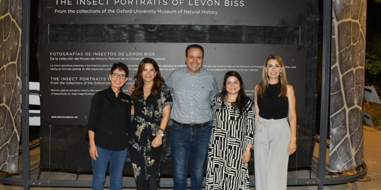 Inauguran Gobierno de Hermosillo y Fundación Coppel la exposición itinerante “INSECTUS” en el Parque Madero