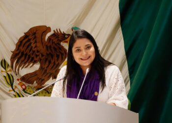 Posicionamiento de la diputada Deni Gastélum por el Día Internacional de la Ciudadanía de las Mujeres Mexicanas