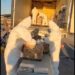En San Luis Río Colorado fueron asegurados más de 900 kilogramos de cocaína por elementos del Ejército Mexicano