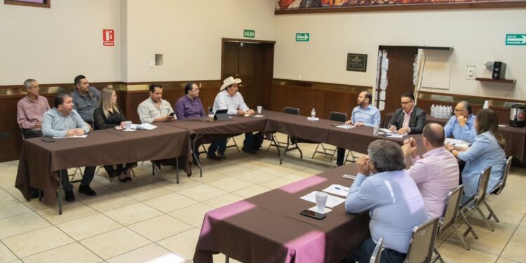 Participa la Comisión Especial para la Designación de Comisarios y Delegados en reunión con IEE Sonora.