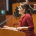 Aprobamos en el senado Reformas de bienestar pensando en el pueblo: Lorenia Valles