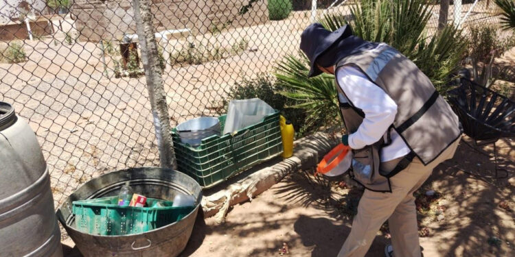 Mantiene Gobierno de Sonora acciones contra el mosquito transmisor del dengue