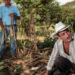 Gobierno delinea amplio plan para alcanzar soberanía alimentaria