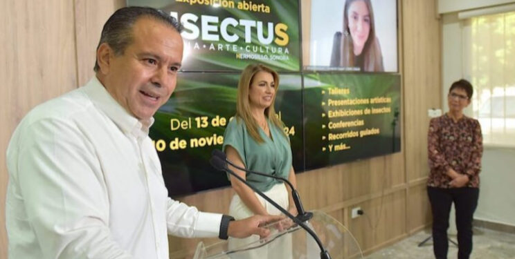 Anuncian la exposición itinerante “INSECTUS”  en Hermosillo