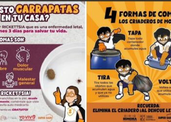 Sonora en los últimos lugares a nivel nacional en casos confirmados de dengue