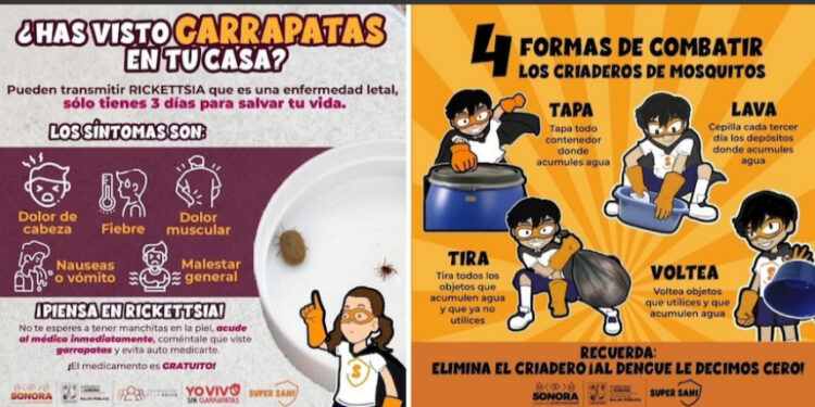Sonora en los últimos lugares a nivel nacional en casos confirmados de dengue