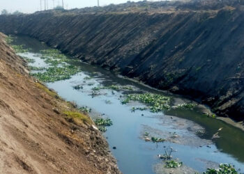 Concluye primera etapa de rehabilitación de Laguna de Zumpango