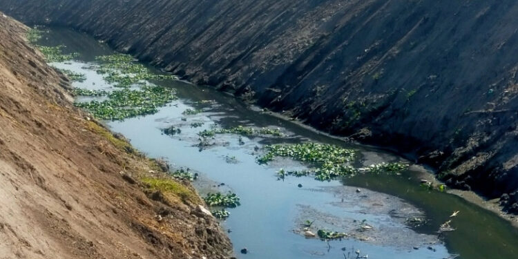 Concluye primera etapa de rehabilitación de Laguna de Zumpango