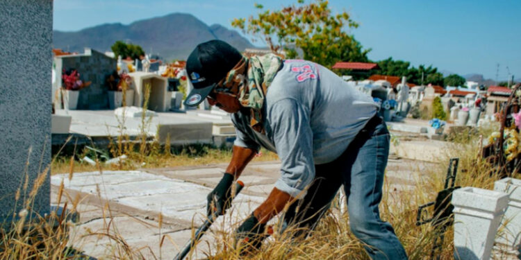 Prepara Ayuntamiento de Guaymas panteones para el Día de Muertos