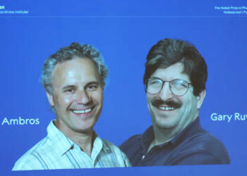 Ganan dos estadunidenses Nobel de Medicina por investigación de genes