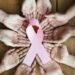 Día de la Lucha contra el Cáncer de Mama: En México murieron 22 mujeres por esta causa durante 2023