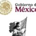 Una joven mexicana será el emblema de la Primera Mujer Presidenta de México, CLAUDIA SHEINBAUM PARDO
