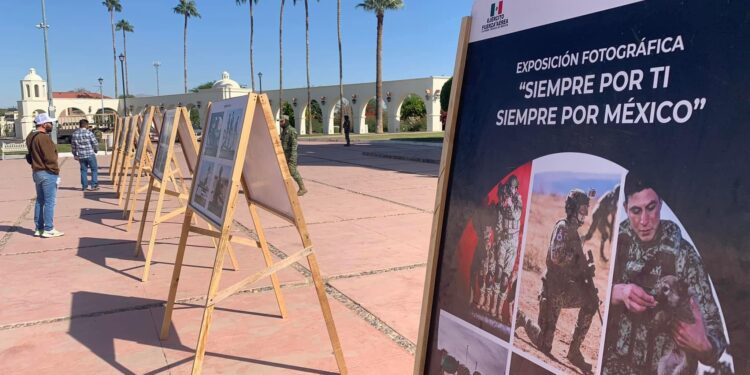 Invitan a la exposición fotográfica «La Gran Fuerza de México: Siempre por Ti, Siempre por México»