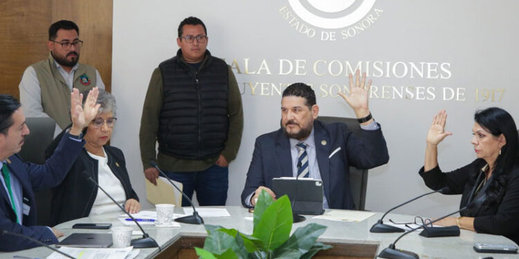 Nombran a Dulce María Ruelas como propuesta para regidora en Carbó