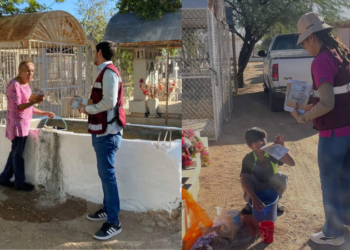 Sonora en los últimos lugares a nivel nacional por casos de dengue: Salud Sonora