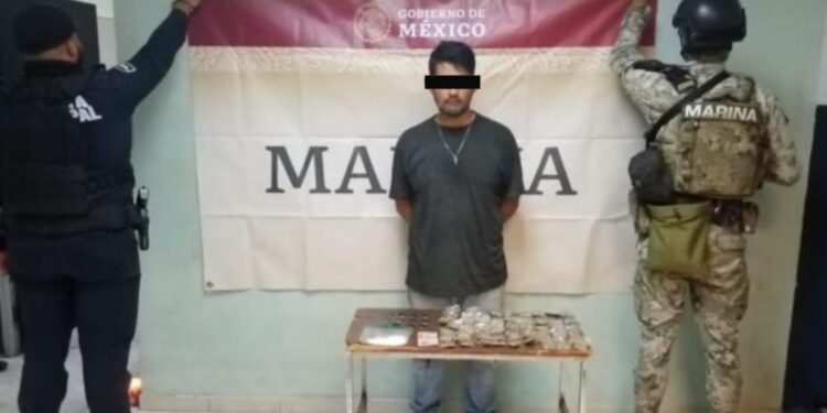 En operativo conjunto asegura SSPM dosis de marihuana y cristal