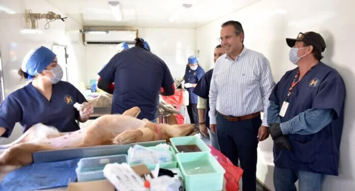 Aplicará Toño Astiazarán exitoso programa de Equilibrio Poblacional de mascotas sin hogar