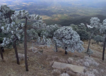 Se esperan temperaturas congelantes de -10°C a 0°C en regiones altas montañosas del noreste y oriente