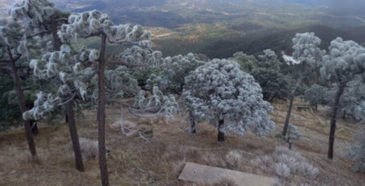 Se esperan temperaturas congelantes de -10°C a 0°C en regiones altas montañosas del noreste y oriente