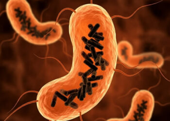 Descubren una nueva entidad biológica que habita en el cuerpo humano