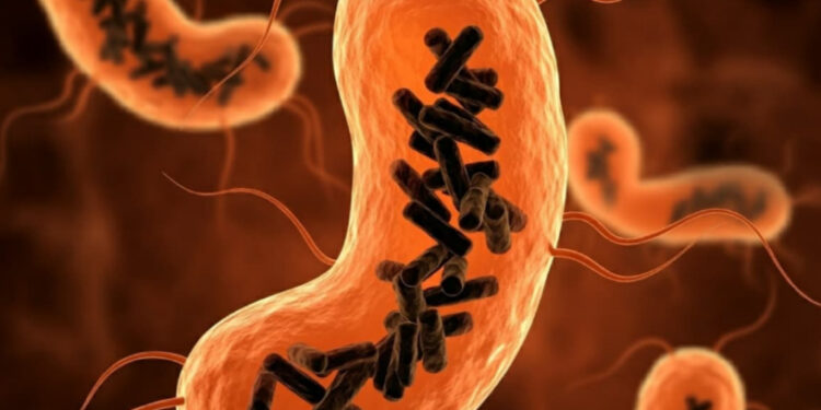 Descubren una nueva entidad biológica que habita en el cuerpo humano
