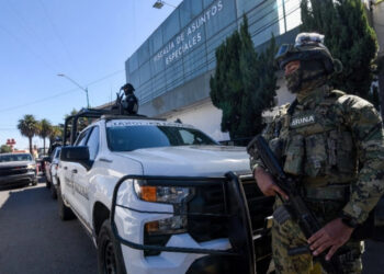 Procesan a seis detenidos en la operación ‘Enjambre’