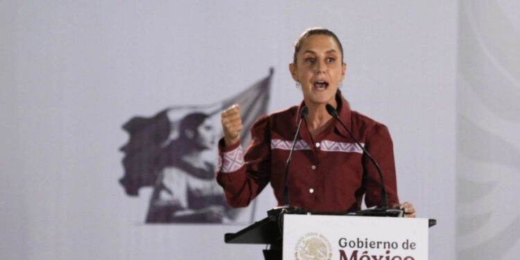 Productora de semillas se instalará en Zacatecas, anuncia Sheinbaum
