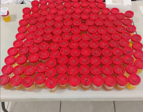 Realizan Examen Toxicológico A Agentes De La SSPM
