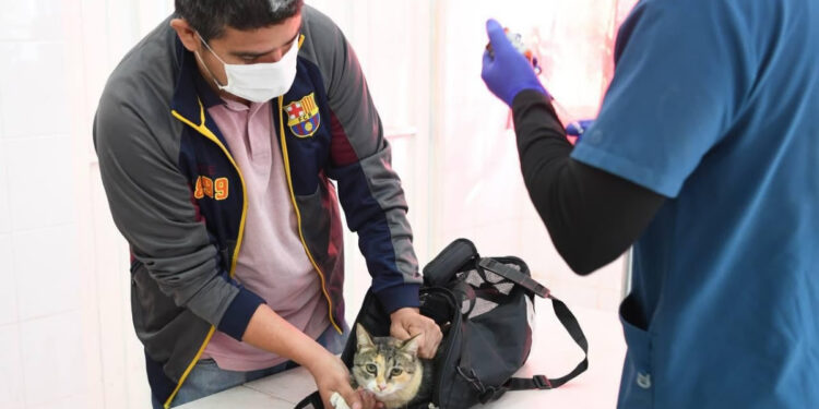 Lleva Gobernador Durazo atenciones veterinarias gratuitas y cirugías de esterilización al norte de Hermosillo