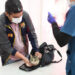 Lleva Gobernador Durazo atenciones veterinarias gratuitas y cirugías de esterilización al norte de Hermosillo