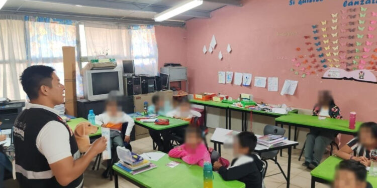 Exhorta Gobierno de Sonora a reportar el maltrato animal a la línea 9-1-1 y 089