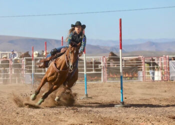 Gobierno de Sonora invita a la Gran Final del Circuito de Rodeo Tour Sonora 2024