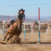 Gobierno de Sonora invita a la Gran Final del Circuito de Rodeo Tour Sonora 2024