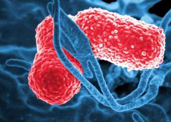 Fallecen 13 menores en Edomex por posible contagio de bacteria Klebsiella oxytoca