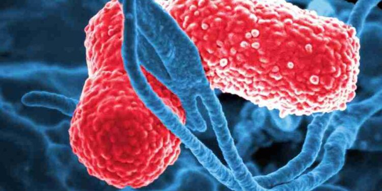 Fallecen 13 menores en Edomex por posible contagio de bacteria Klebsiella oxytoca