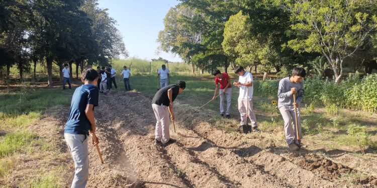 Consolida Cobach Sonora programa internacional de Escuela Agroecológica
