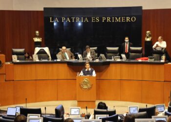 LA POLÍTICA  DE INGRESO DEL GOBIERNO FEDERAL GARANTIZA EL BIENESTAR DEL PUEBLO: Lorenia Valles