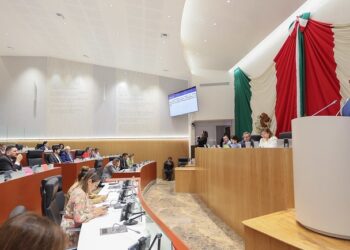 “Presupuesto 2025 brindará bienestar y desarrollo en Sonora”: Partido Verde