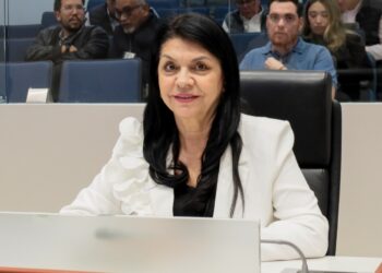 Posicionamiento de la diputada Ernestina Castro en relación al día Internacional contra la corrupción