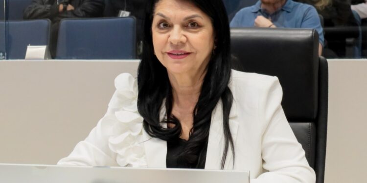 Posicionamiento de la diputada Ernestina Castro en relación al día Internacional contra la corrupción