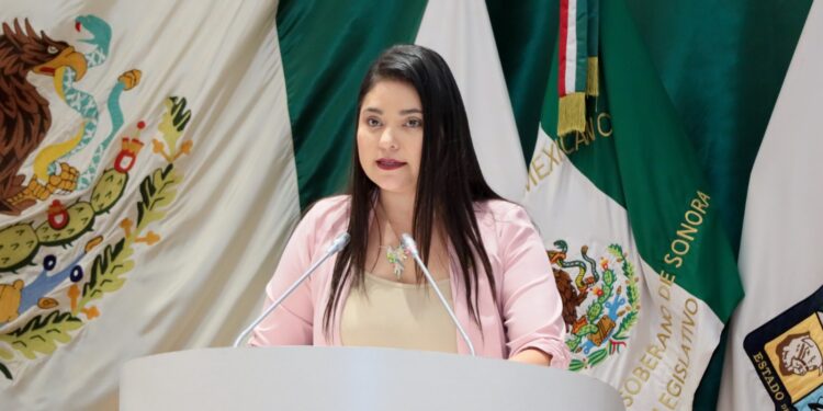 Sin los derechos humanos no podemos hablar de justicia, de libertad, ni de Igualdad: DIPUTADA DENI GASTÉLUM.