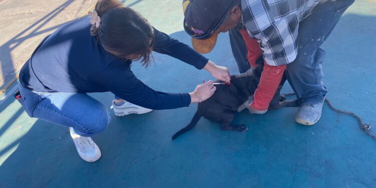 Realiza DIF Guaymas ruta navideña con niñas y niños de Ocotillo.